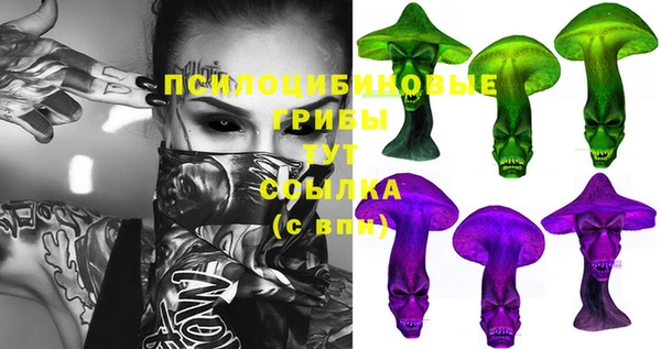 крисы Балахна