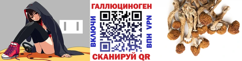 Псилоцибиновые грибы Psilocybine cubensis  Шарыпово 